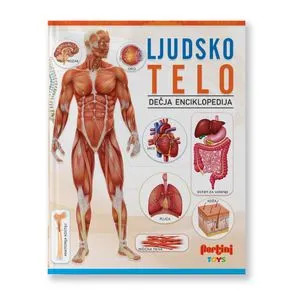 Ljudsko telo dečija enciklopedija