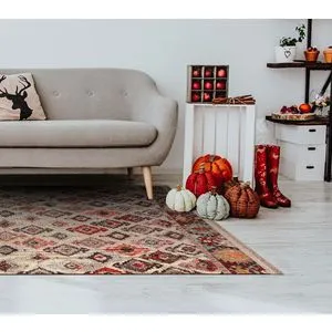 Ln 48 - Std Multicolor Carpet (120 x 180)