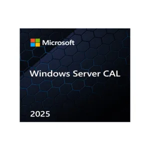 Microsoft EP2-25279 Windows Server CAL 2025 English 1pk DSP OEI 5 Clt User CAL