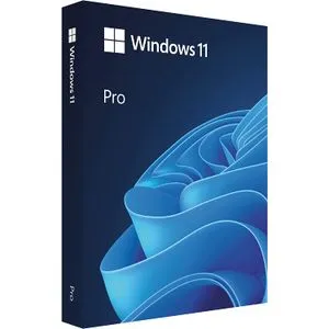 Microsoft HAV-00164 Win Pro FPP 11 64-bit Eng Intl non-EU/EFTA USB