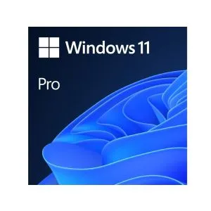 Microsoft Windows 11 Pro 64bit DVD OEM