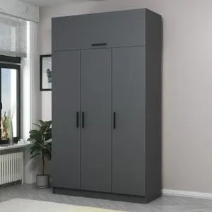 Minar 3 Kapak 2 Çekmece 255 - Anthracite Anthracite Wardrobe