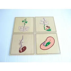MONTESORI Botaničke puzzle