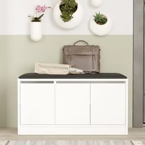 Mr2-W White Shoe Cabinet