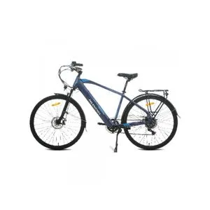 MS ENERGY EBike C11 M