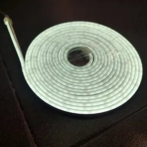 Neon Flex traka 12v 5m