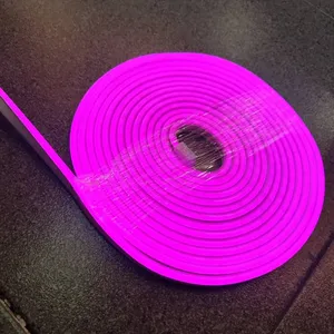 Neon Flex traka 12v 5m