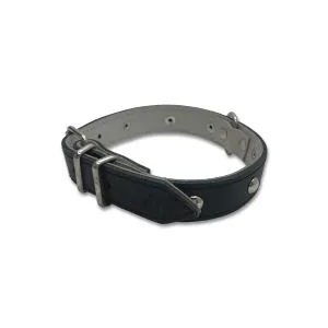 Ogrlica kožna za psa 025 Lux, sa nitnama/sa bodljama TR 5027