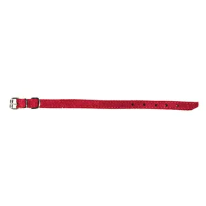 Ogrlica za psa crvena 35cm