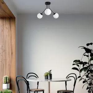 Orıon - Crni Luster 13955