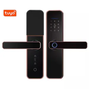 Pametna Brava X5 TT-LOCK BK