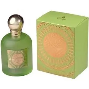 Paris Corner Pear Potion Emir EDP 100 ml, unisex parfem