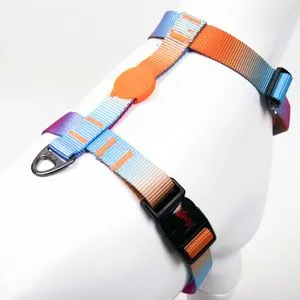 Pass Multicolor Pasja Ogrlica