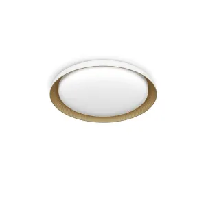 Philips plafonska rasveta Bela 10W 40K, 929004116701