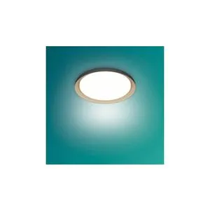 Philips plafonska rasveta Cena 10W 40K, 929004116901