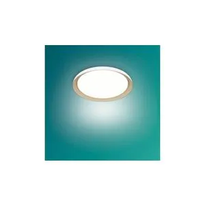 Philips plafosnka rasveta Bela 10W 27K, 929004116601