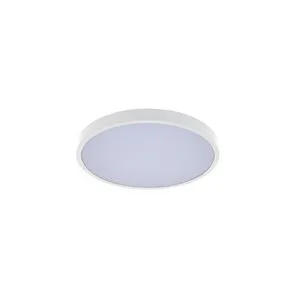 Rabalux Alenzo LED plafonska lampa 71426
