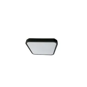 Rabalux Alenzo LED plafonska lampa 71432