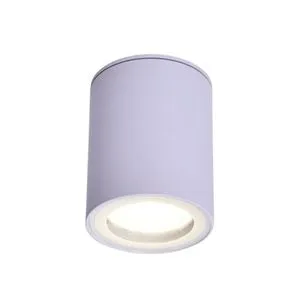 Rabalux Koven nadgradna plafonska lampa 71343