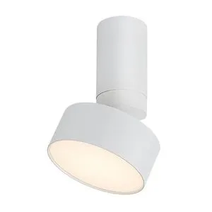 Rabalux Ovidia LED nadgradna plafonska lampa 71326