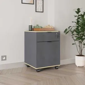 Rkm-311-Ax-1 Anthracite
Oak Multi Purpose Cabinet