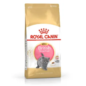 Royal Canin British Shorthair Kitten 2 kg