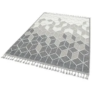 Sh 03 - Grey Grey Carpet (200 x 290)