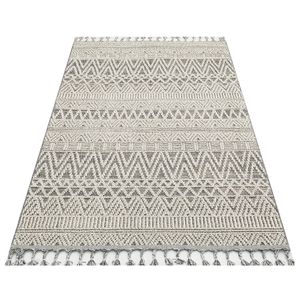Sh 14 - Grey Beige Carpet (200 x 290)