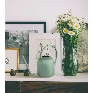 SLK0013 Green Watering Can