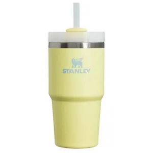 STANLEY Quencher H2.0 0,6L termo boca - Pomelo