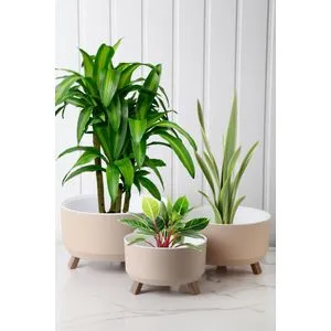 TRPTSKS-3-3 Cream Vase Set