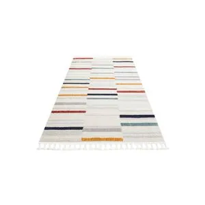 Trz 01 - Multicolor Multicolor Carpet (160 x 230)