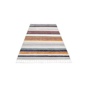 Trz 02 - Multicolor Multicolor Carpet (120 x 180)