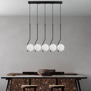 Tulıp - 13829 Crna Luster