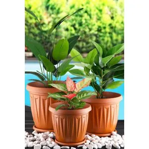 URGSKS-3 Brown Vase Set