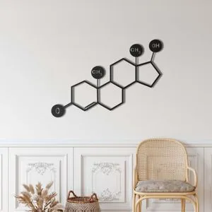 WallXpert metalni zidni ukras 5238, strukturna formula molekula testosterona, 90 x 63 cm, crni
