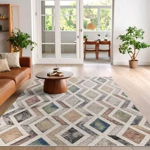 Woopamuk393 multicolor tepih (100 x 150)