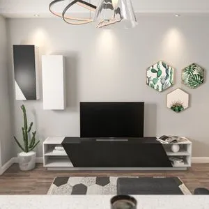Zebra - Black, White Black
White TV Unit