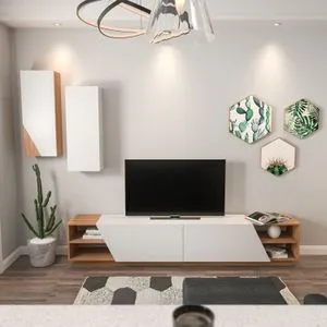 Zebra - Televizorska jedinica u beloj i teak boji