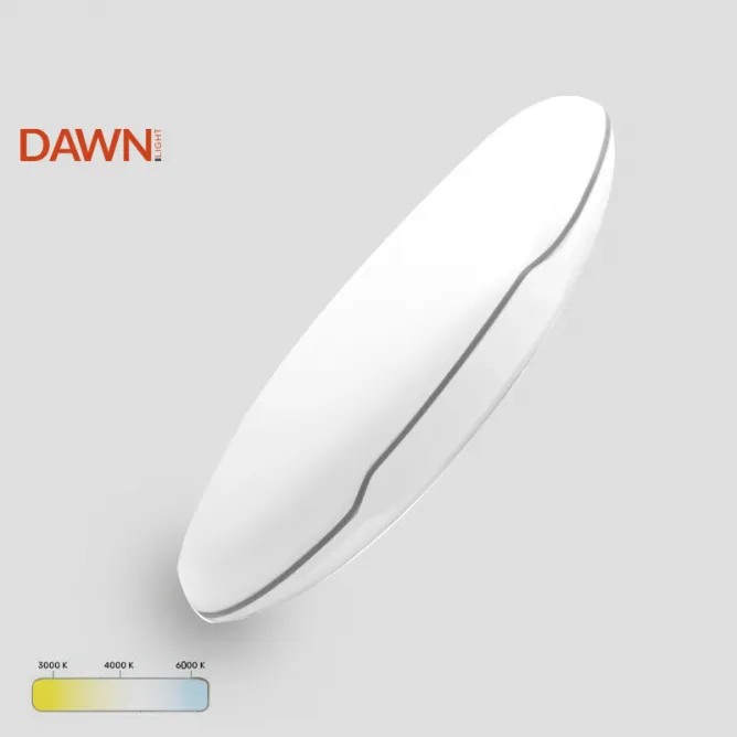 LED PLAFONJERA DCL101 24W 3000/4000/6000K IP54