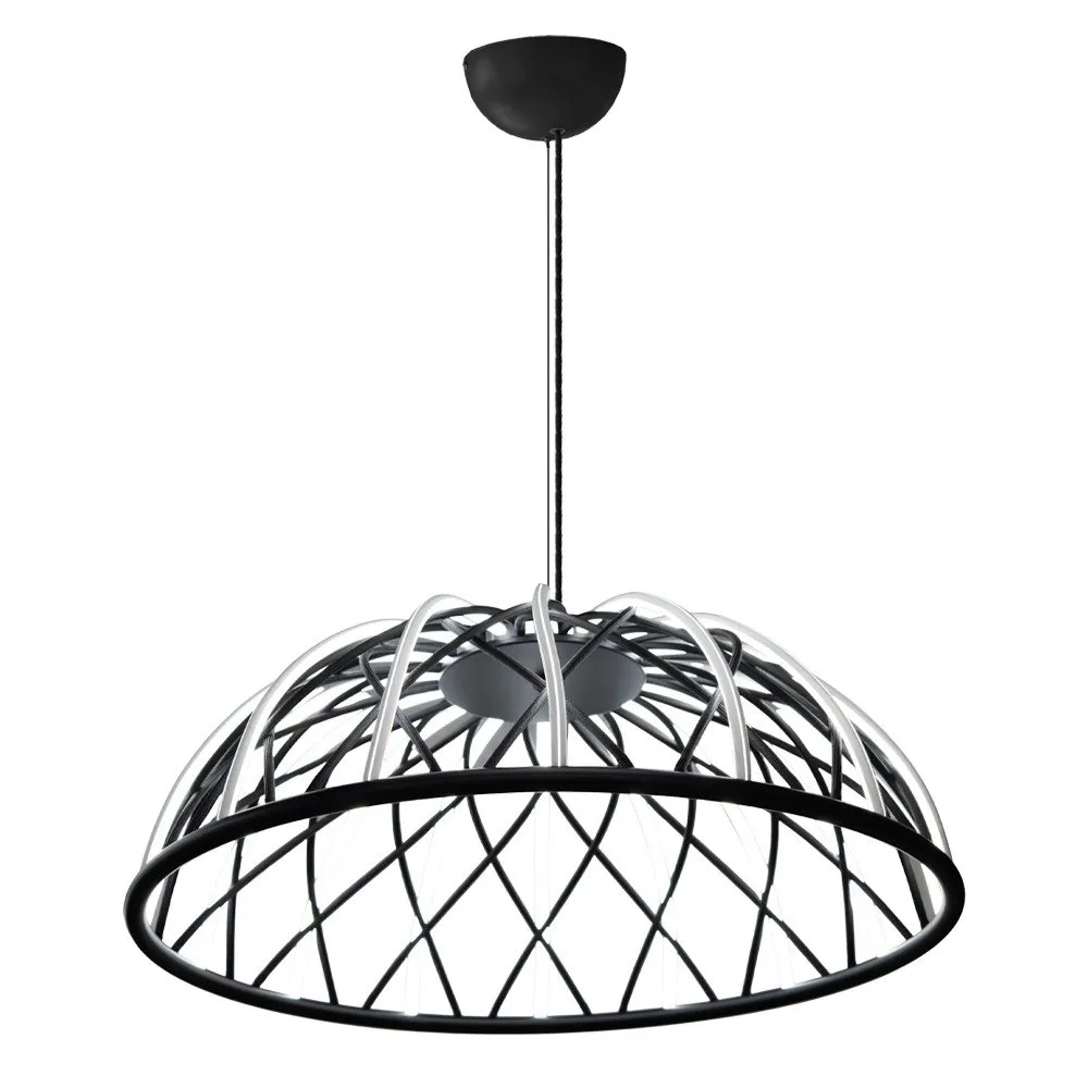 3229 1A 19 Black luster