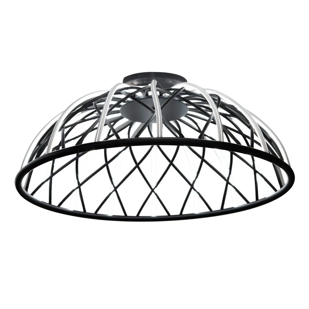 3229 2 19 Black luster