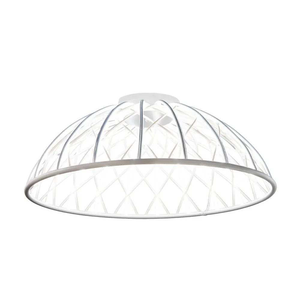 3229 2 29 Cream luster