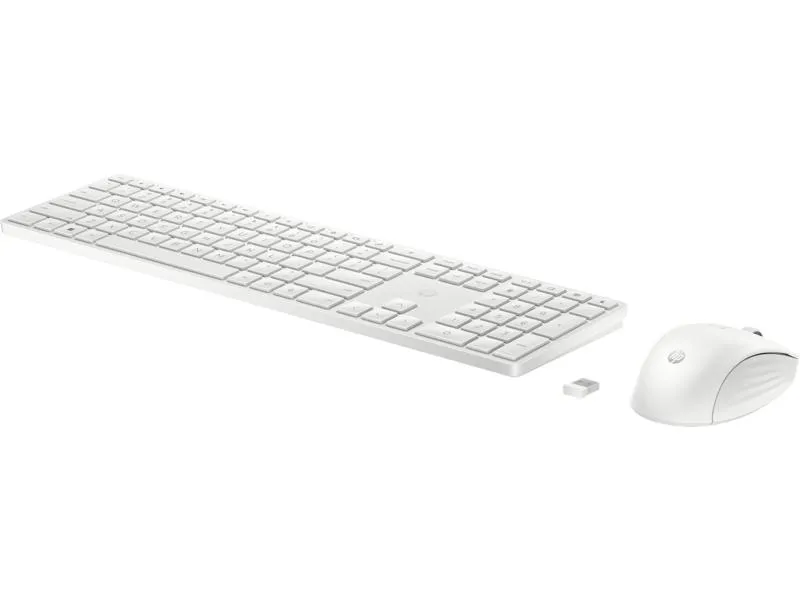 650 Wireless tastatura i miš YU (4R016AA)