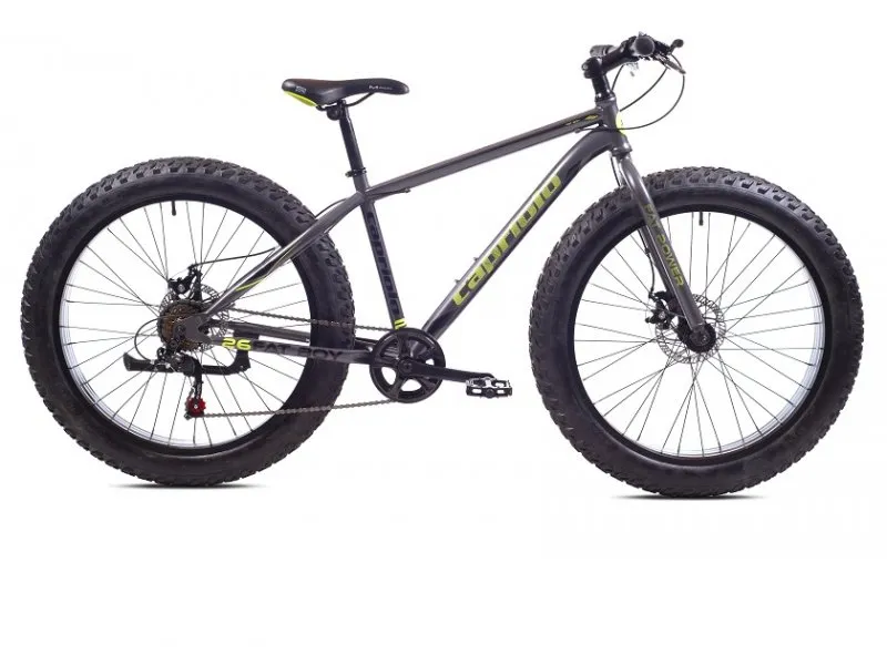 FATBOY 26''/7HT sivo-zuto