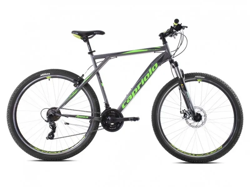 MTB ADRENALIN 29''/21HT siva-zelena (919434-23)