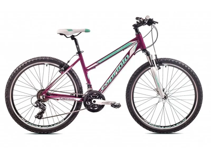 MTB MONITOR FSL 26''/21AL bo-ti