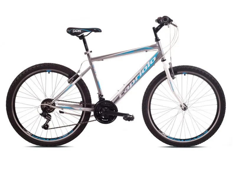MTB PASSION M 26''/18HT siva-plava
