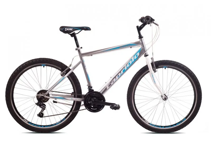 MTB Passion man sivo-plava