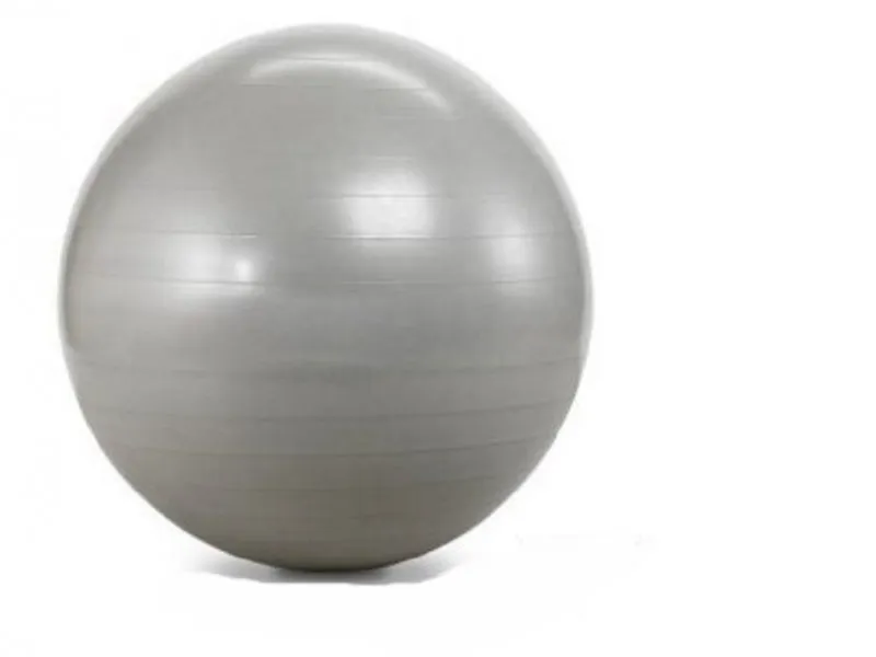 pilates lopta 65cm siva 291358-S